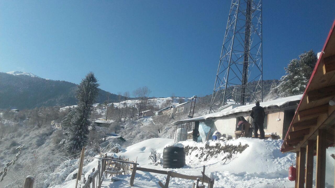 Blue Poppy Resorts Joshīmath Buitenkant foto
